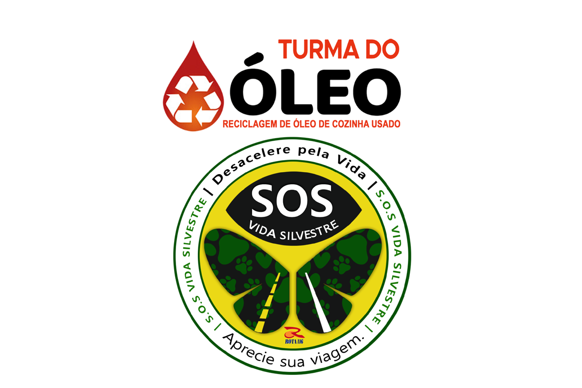 Turma do Óleo